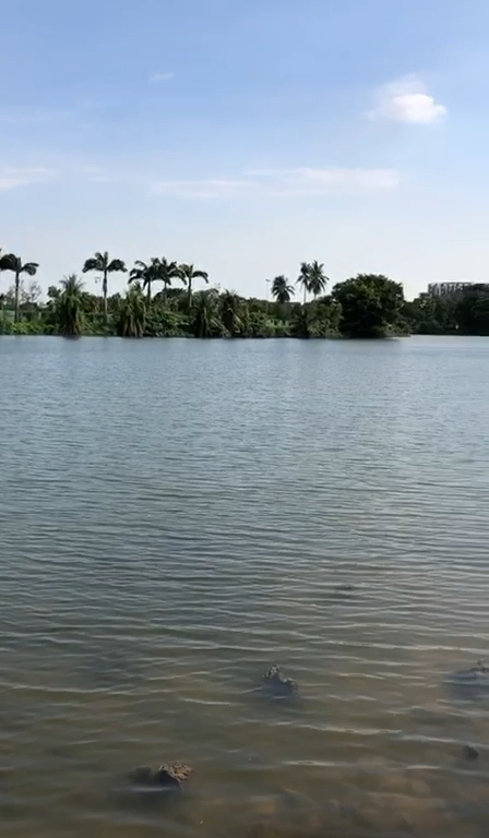 Strolling along this magnificent lake... 