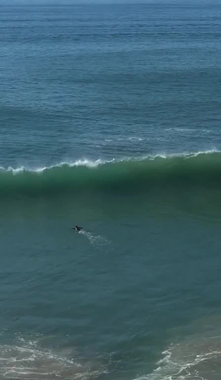 #pac4portugal #portugal #praiadomolhe #surfing #surfsup #waves 🌊🏄‍♂️❤️🇵🇹 