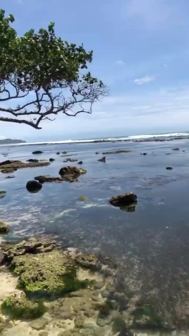 nice place at west java