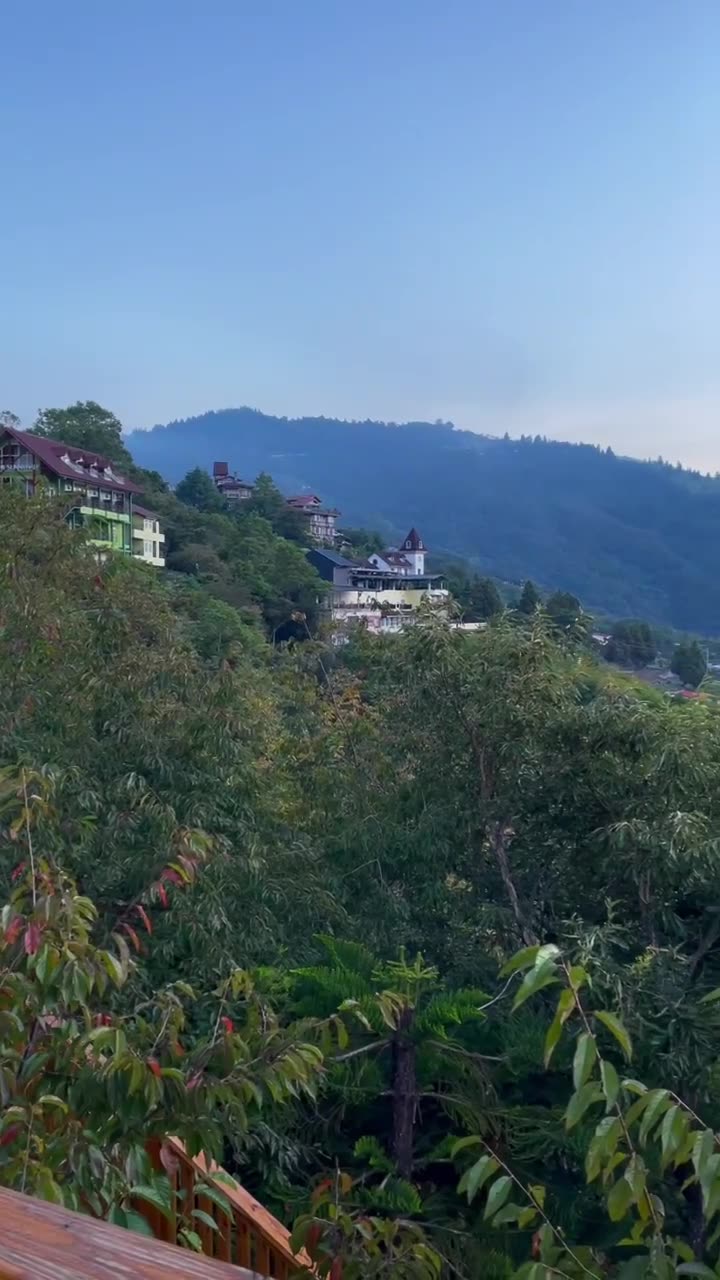 #清境 #春大地 05:50AM