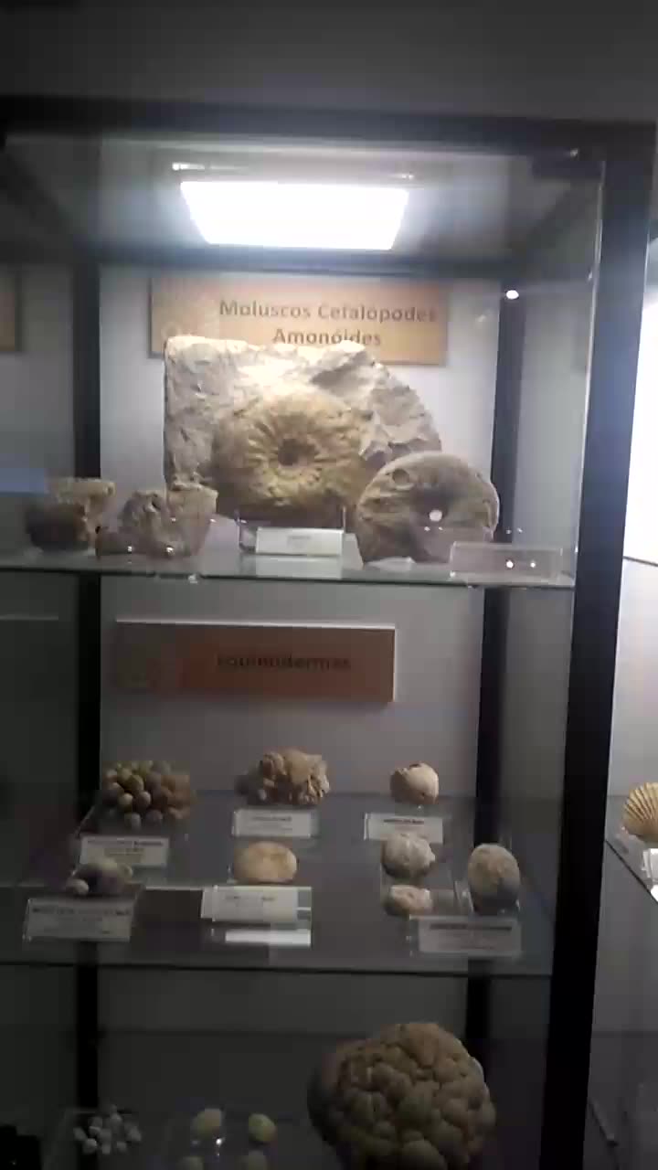 Minerais e Fósseis#visitem as grutas da mueda