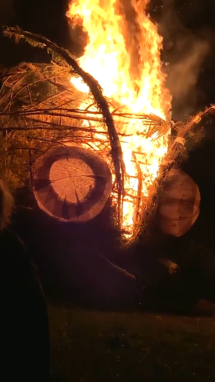 burning giant firefly
 #fire
 #burning
 #burn